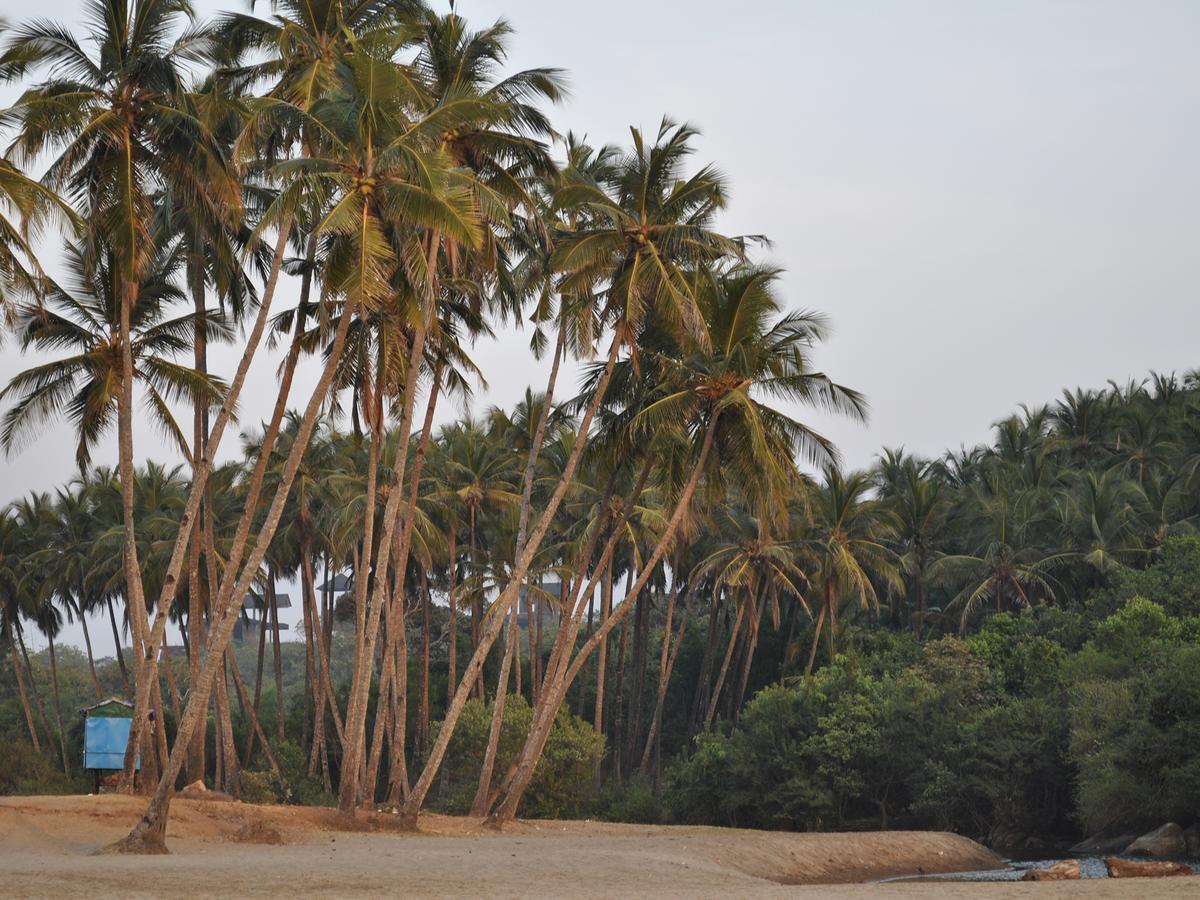 Tutti Garden Bungalows Hotel Mormugao Esterno foto